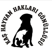 KaşHayvanHaklari (@kashayvanhaklar) Twitter profile photo