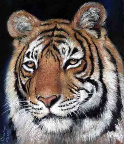 starlightall's profile picture. 별빛매화CLUB Star Light All CLUB