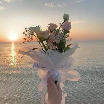 AuristelaShera's profile picture. 💚💚💚💚💚💚💚