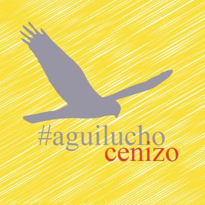 Seguimiento de la Campaña Ibérica de Aguilucho Cenizo. Infórmate y participa #aguilucho