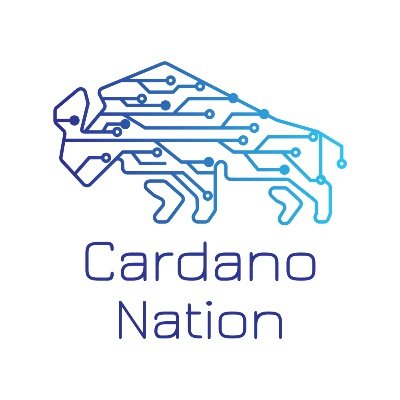 CardanoNation Profile Picture