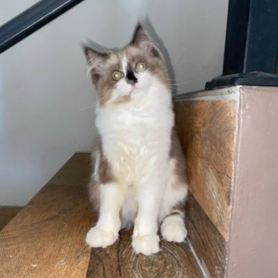 hryneva's profile picture. 