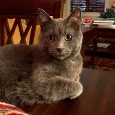 pambutler17's profile picture. 