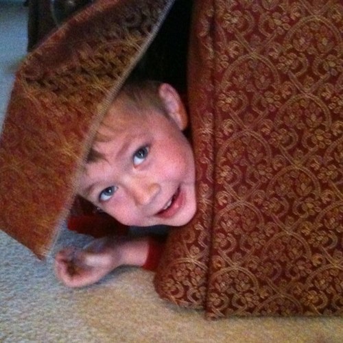 mscuyahogacuse's profile picture. 