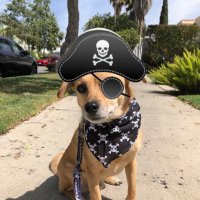 Lenny Kimes (@complicitlenny) 's Twitter Profile