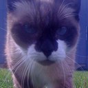 Keandra Williams - @Keekz64 - Twitter