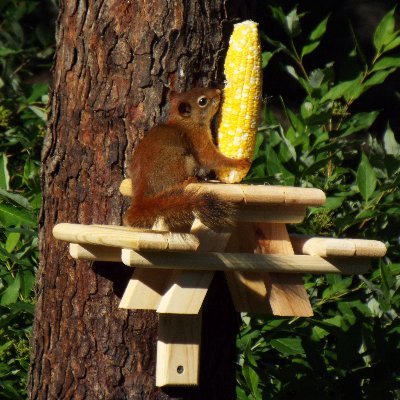 conraddavis's profile picture. Father of four-legged children, consumer of good beer, and user of the Oxford comma.