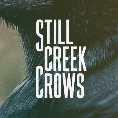 Still Creek Crows