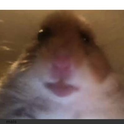 um hamerti aleatorioさんのプロフィール画像