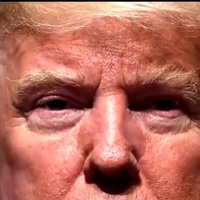 Donald Trump 2024 MAGA (@robertrschulz) 's Twitter Profile