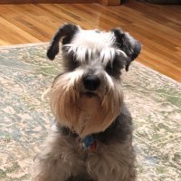 Oscar Mike (@dermotmichael) 's Twitter Profile