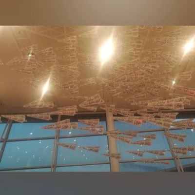 AnnurMedina's profile picture. ✨#IPEMS 🦋Planter un jardin, c’est croire en demain 🍀