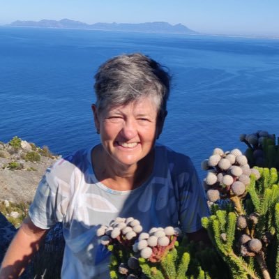 NicolaIlling's profile picture. 