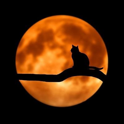 さいとーーーさんのプロフィール画像