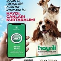 haydipolisi (@haydipolisi) 's Twitter Profile