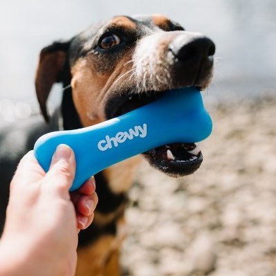 Frazer35420756's profile picture. 