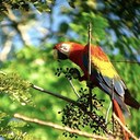 carlos vides - @chvides - Twitter