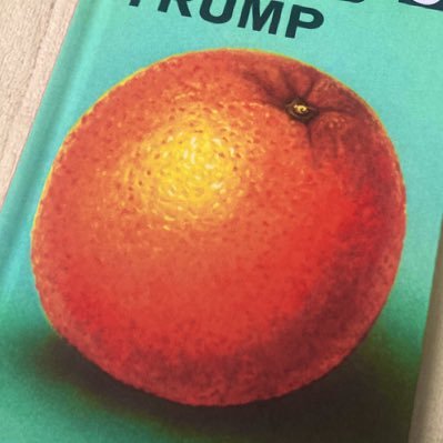 notnotsuccess's profile picture. 陰謀論・カルト・セクトウォッチャー・「心ある」評論家。近年は「れいわ新選組」の構成員並びに支持者の観察に注力しています。AI池戸万作の生みの親。ジバみ党ネットサポータズ。