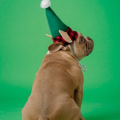 Freemon28430466's profile picture. 