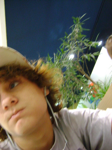 Todo Alienado é feliz, mas nem todo feliz é alienado! #TedLove