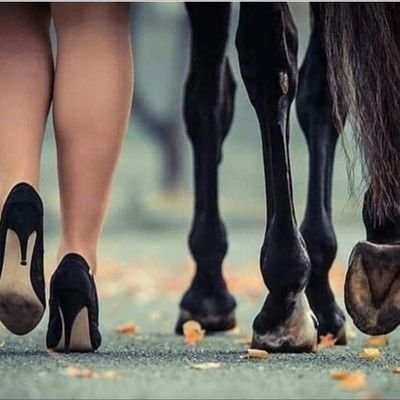CoursePassion's profile picture. fan des courses hippiques