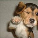 Eunice Kwon - @Eunice_water - Twitter