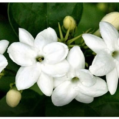 ibuanakku's profile picture. 1 Petrus 5:7 (TB)  Serahkanlah segala kekuatiranmu kepada-Nya, sebab Ia yang memelihara kamu. 

https://t.co/53q6NSHyVH