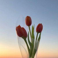 💖 (@luv__lyyy) 's Twitter Profile