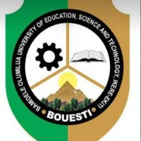 Bamidele Olumilua Univ. of Edu, Sci. &Tech,Ikere (@bouesti) 's Twitter Profile Photo
