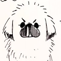 ペキニーズのぺー太 (@peta2020711) 's Twitter Profile