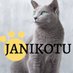 Janikotu & Russian Blue Cat (@janikotu) Twitter profile photo