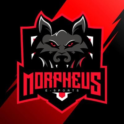 🔺Twitter Oficial da Morpheus E-sports 📩