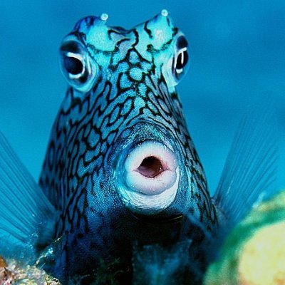 LooomBooom's profile picture. https://t.co/4NVzSoQ1d0