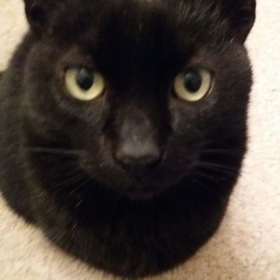 mikw33's profile picture. Gardener, Reader, Non-League fan.