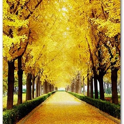 nbulos's profile picture. Amante de la vida, el respeto, la libertad. Orgullosa de ser del 41 %. EL CLUB DE LOS GORILAS