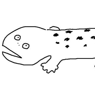 イモリさんのプロフィール画像