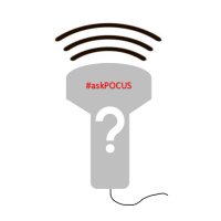 askpocus (@askpocus) 's Twitter Profile