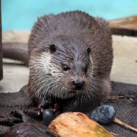 還暦ソフトウェア・エンジニア. 音楽をこよなく愛すオッサンです. 旅行好き,写真好き,カレー好き. ああ、どっか行きたい. Canon EOS R6, Ricoh GRIII使い.
https://t.co/OLjp4rhEuF