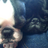 diceandlog's profile image