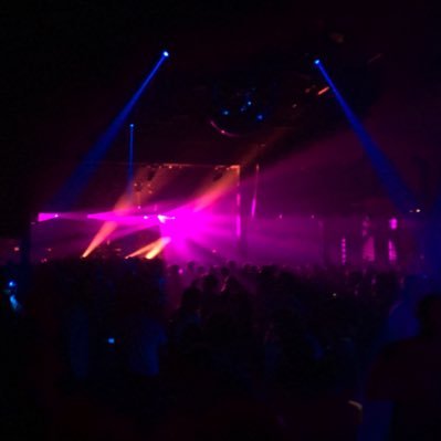 MaxGottfried's profile picture. 