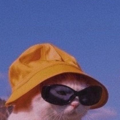 Aoyyyyy2020's profile picture. 🌑
20 Y สูง 152 นน.60 
เป็นคน #สุราษฎร์ 
คุยได้ถ้าทักมา