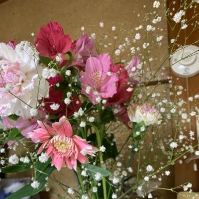 anan06504257's profile picture. 