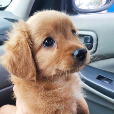 NI89805261's profile picture. #FX投資家#JAPAN#旅行　　人生楽しんだ者の勝ち🏅