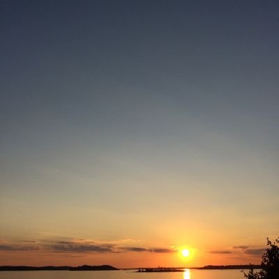 pontabrah's profile picture. Solo developer building startups