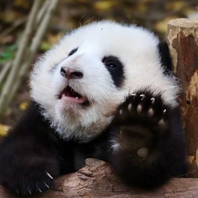 wwwさんのプロフィール画像