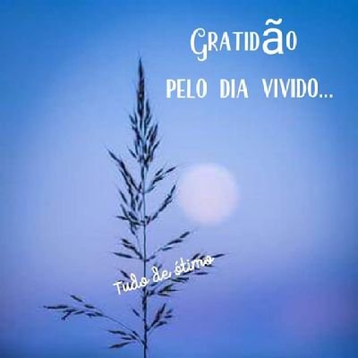 HelenaPiovesan's profile picture. 