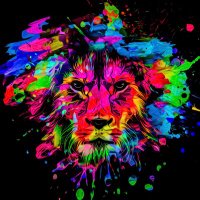 Tracey McR (@traceymcr) 's Twitter Profile