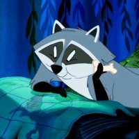 \\hunnyflash\\ (@_hunnyflash) 's Twitter Profile