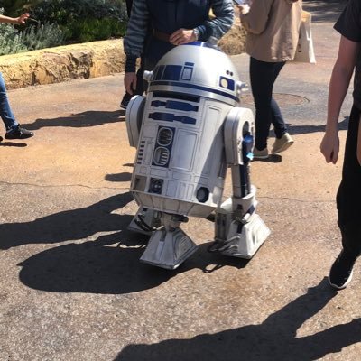 skytom88's profile picture. Tesla owner, working in tech