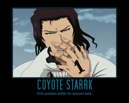 starrk Profile Picture